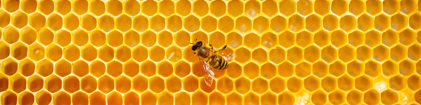 Bienenreich